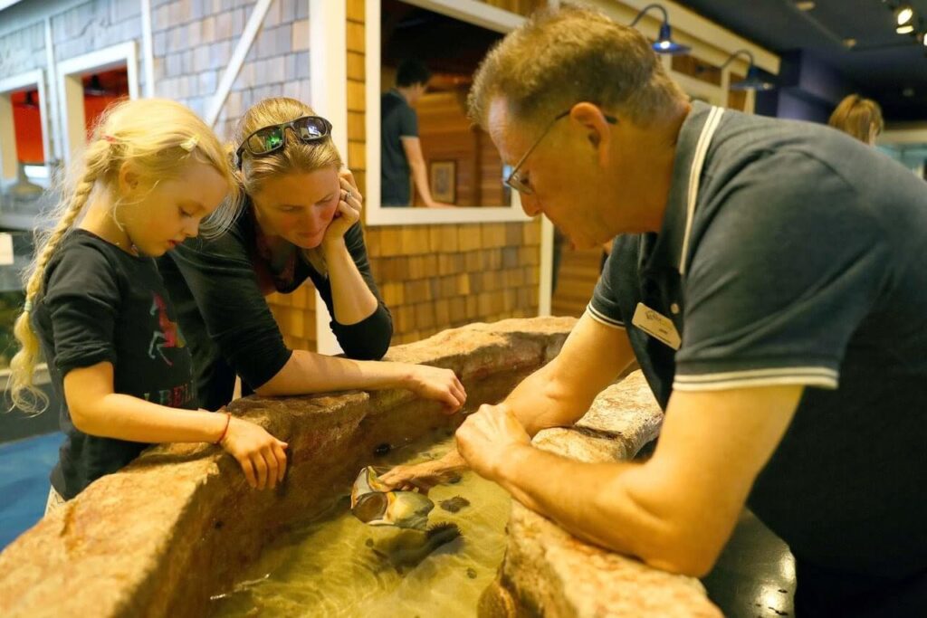 Hoe breng je een regenachtige dag door in Brockville – Brockville Tourism